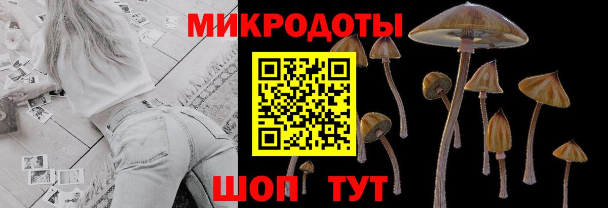 Псилоцибиновые грибы ЛСД  где купить наркоту  Медногорск  Вход с VPN 